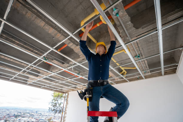 Best Emergency Plumbing Repair  in Holley, FL
