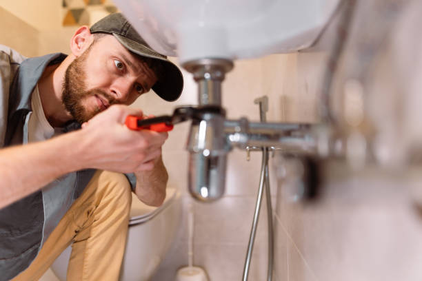 Best Local Plumber Services  in Holley, FL