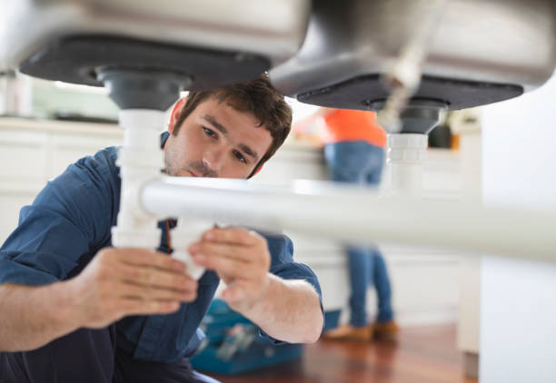 Best Plumbing Services Near Me  in Holley, FL