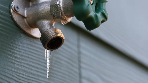 Best Commercial Plumbing Services  in Holley, FL
